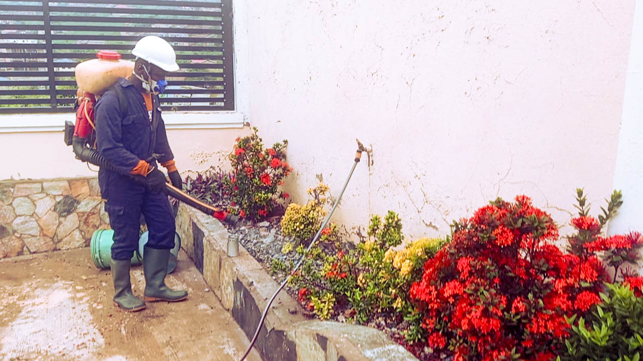 t-advance pest project picture