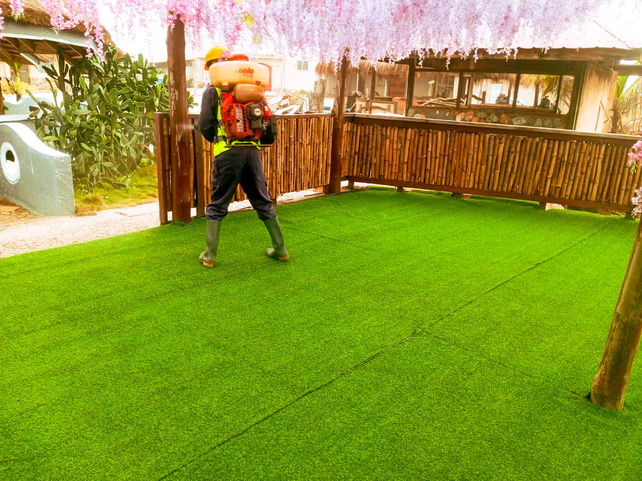 t-advance pest project picture