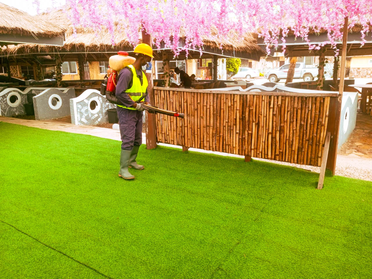 t-advance pest project picture