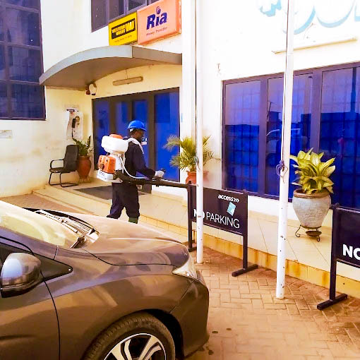 t-advance pest project picture