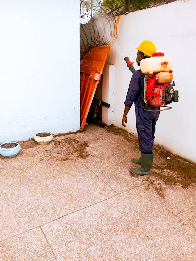 t-advance pest project picture